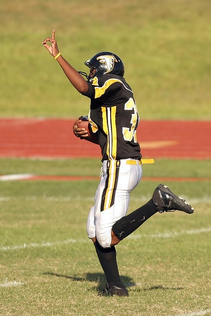 南羽毛球的 南羽毛球的