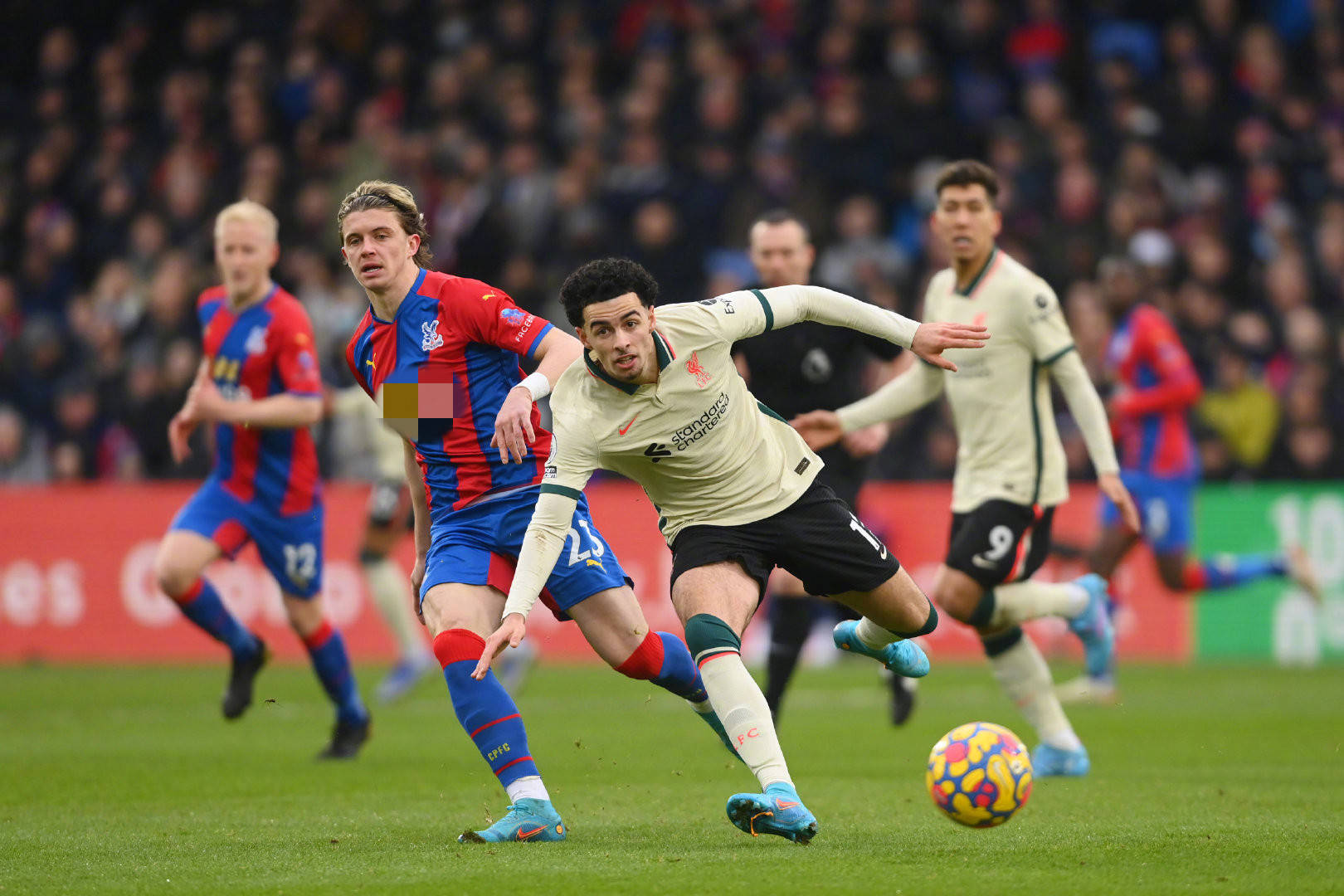 曾获沙特豪 曾获沙特豪